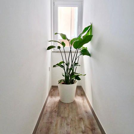 Ljubljana Central Cozy Apartment W Free Parking Dış mekan fotoğraf