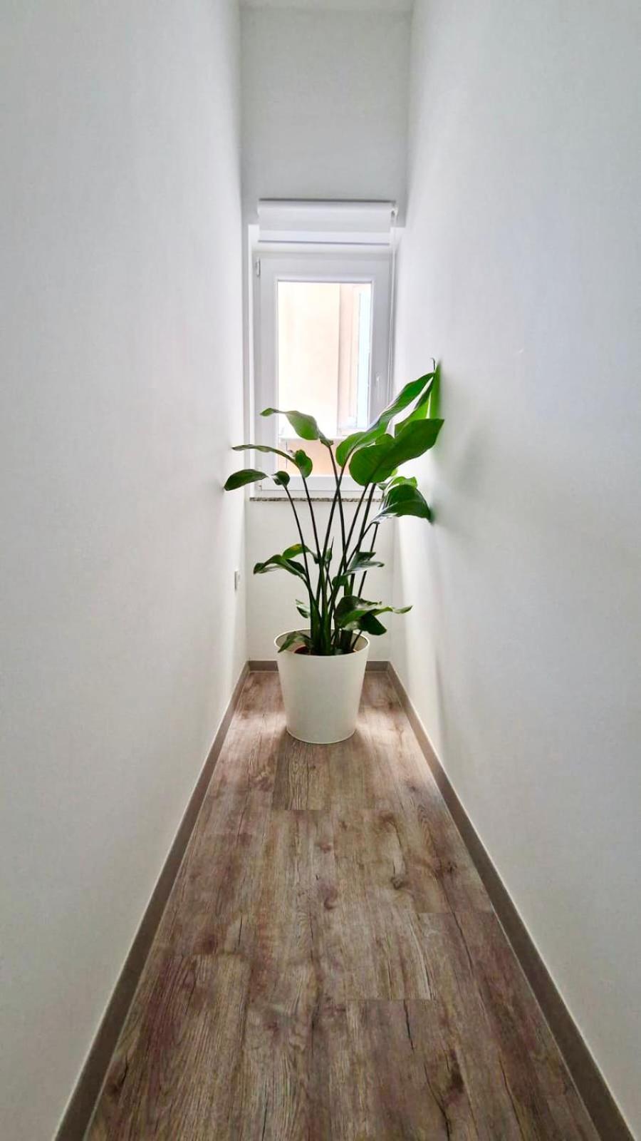 Ljubljana Central Cozy Apartment W Free Parking Dış mekan fotoğraf